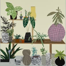 Jonas Wood