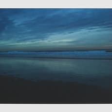 Kim Davidson