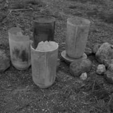 Noam Dover and Michal Cederbaum