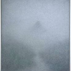 Mark Shields