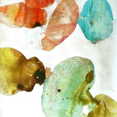 Meredith Pardue