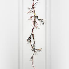 Joseph, Leung Mong Sum