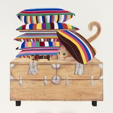 Kyunghee Jang (South Korean)