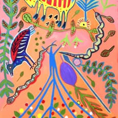 Kg’akg’am Tshabu