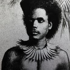 Brook Andrew