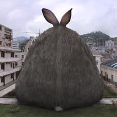 Liu Di 柳迪