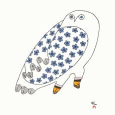 Ningiukulu Teevee