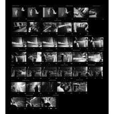 Trent Parke
