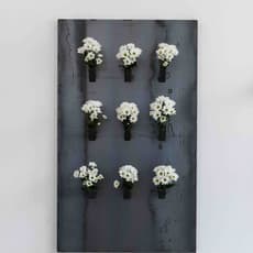 Matisse Mesnil