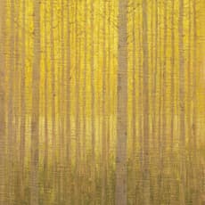 David Grossmann