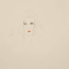 Suzette Lehrer