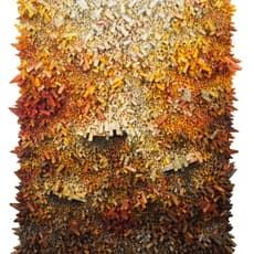 Chun Kwang Young