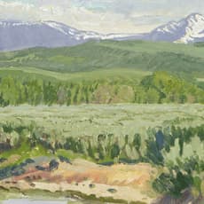 Robert Lougheed