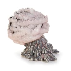 Sasha Koozel Reibstein