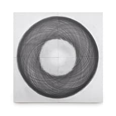 Tony Orrico