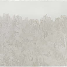 Fu Xiaotong付小桐