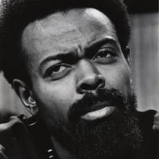 Chester Higgins