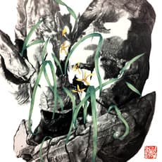 Richard Liu