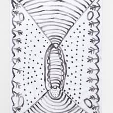 María Amilbia Siagama Siagama