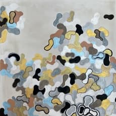 Eva Breitfuss