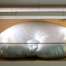 Wang Te-Yu 王德瑜