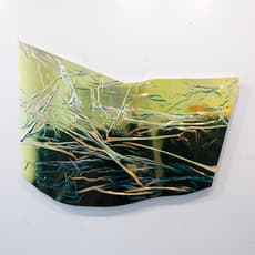 Carol Peligian