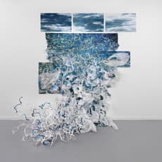 Toby Zallman