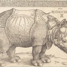 Albrecht Dürer