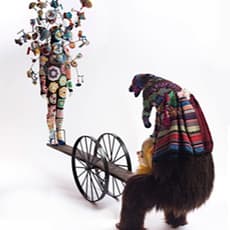 Nick Cave
