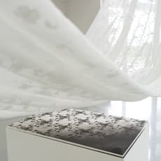 Joyce Ho