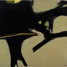Janet Lippincott