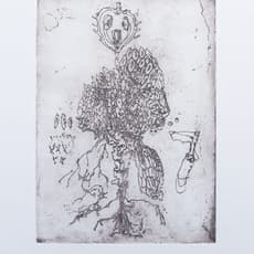 Andrea Pérez Bessin