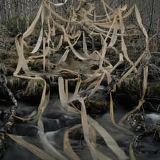 Riitta Päiväläinen