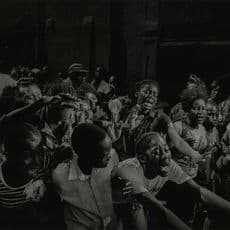 Alex Majoli