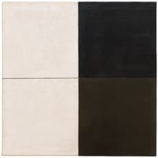 Mira Schendel