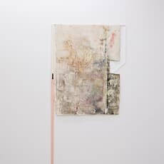 Andrea V. Wright