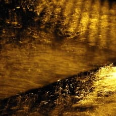 Anne Pharel