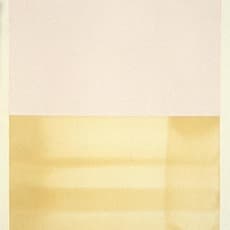 Stuart Arends