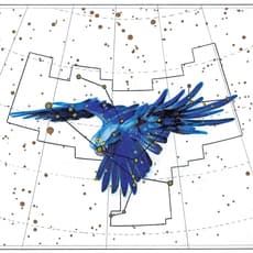 Jose Gabriel Hernandez