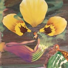 Kristína Bukovčáková