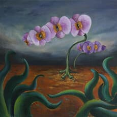 CHEN Shaorong 陈少蓉