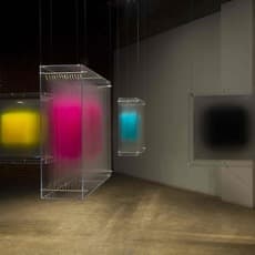 David Spriggs