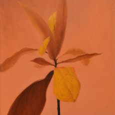 Chinh Nguyen Khac