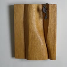 Jeremy Comins