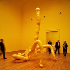 Sarah Lucas