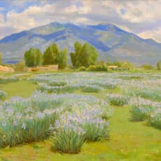 Bert G. Phillips
