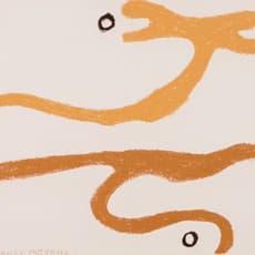 Luísa Correia Pereira