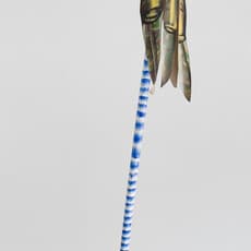 Veronika Bezdenejnykh