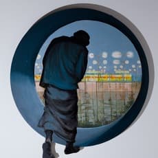 Alexander Dashevskiy