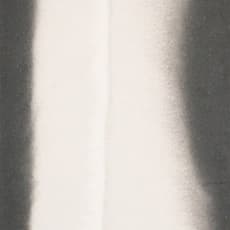 Cindy Ng Sio Leng 吴少英